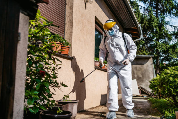 Best Pest Removal Services  in Mason, OH