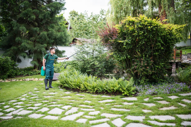 Best Ant Control Services  in Mason, OH