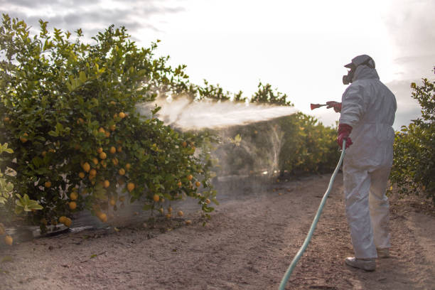Best Pest Control for Restaurants  in Mason, OH
