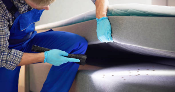 Best Affordable Pest Control Services  in Mason, OH