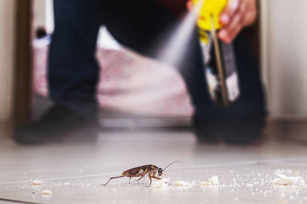 Best Pest Control Near Me in Mason, OH