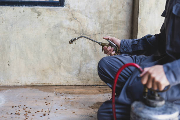 Pest Prevention Services in Mason, OH